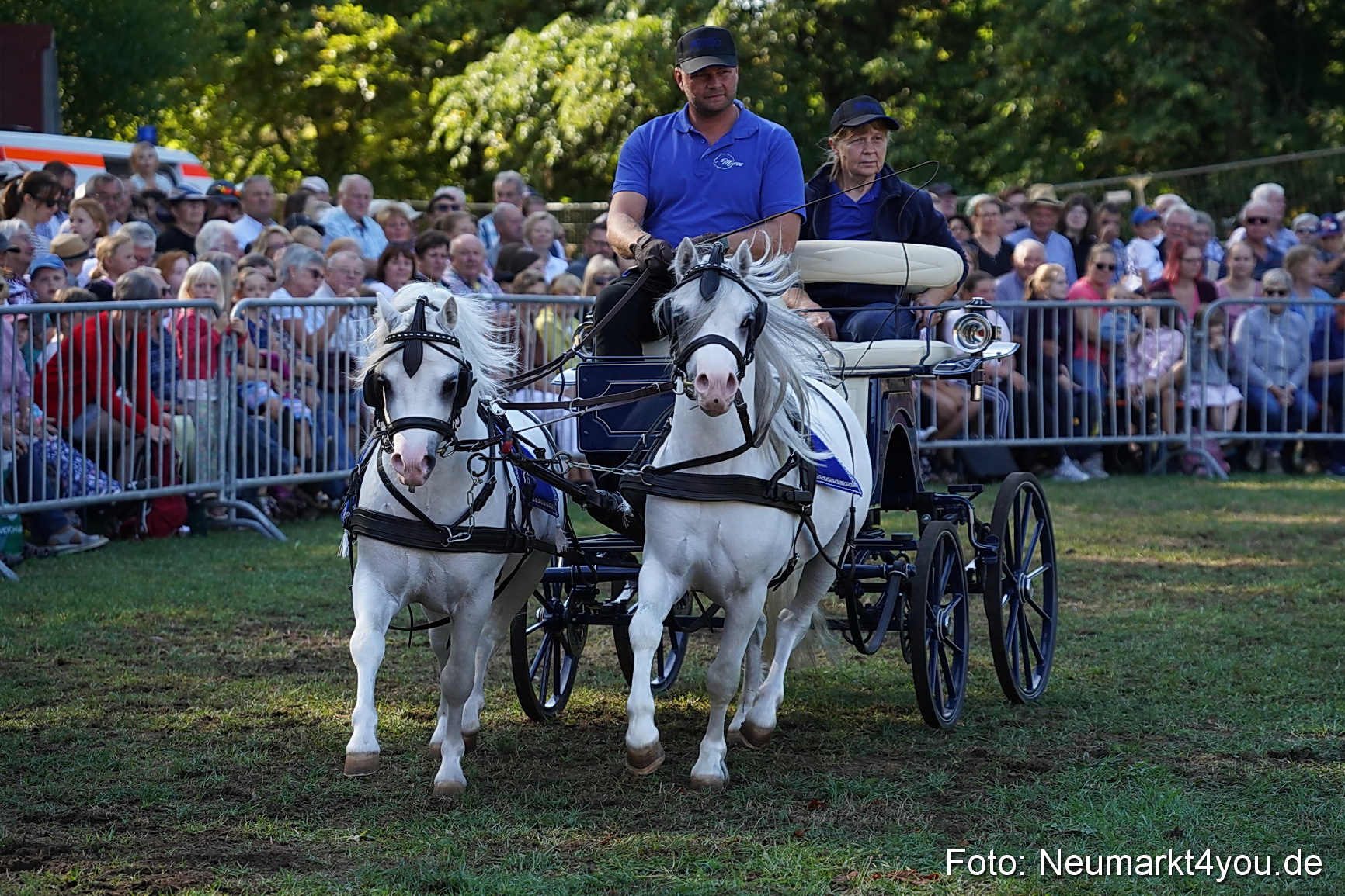 Pferde und Fohlenschau 2022 0087 